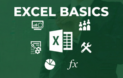 Excel Basics